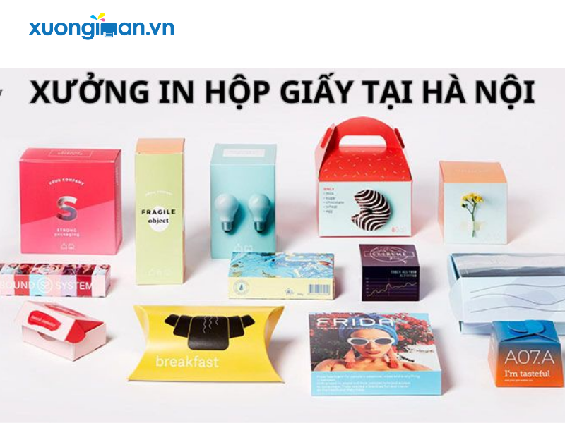 Những lợi ích, ưu đãi khi sử dụng dịch vụ in hộp giấy tại Xưởng In Ấn