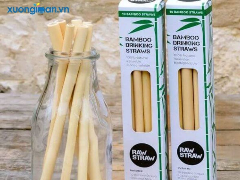 Mẫu hộp giấy đựng ống hút bằng Ivory