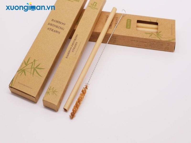 In hộp giấy đựng ống hút Đẹp_Rẻ_Thân thiện môi trường