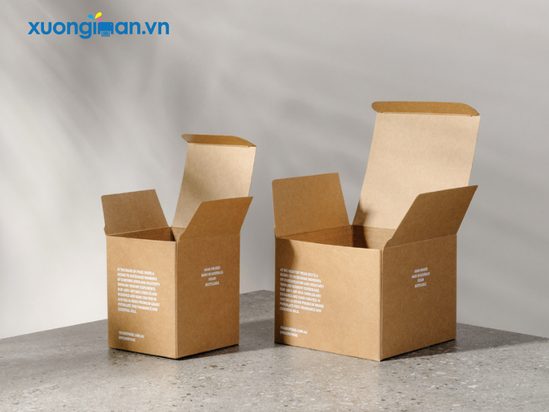 In hộp giấy kraft bồi carton lạnh