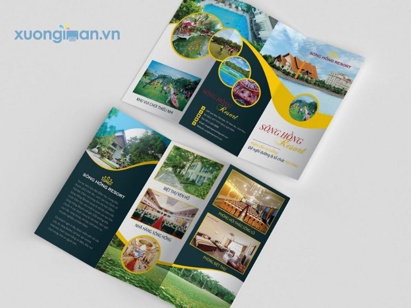 Lý do nên sử dụng dịch vụ in tờ rơi quảng cáo giá rẻ tại Xưởng In Ấn