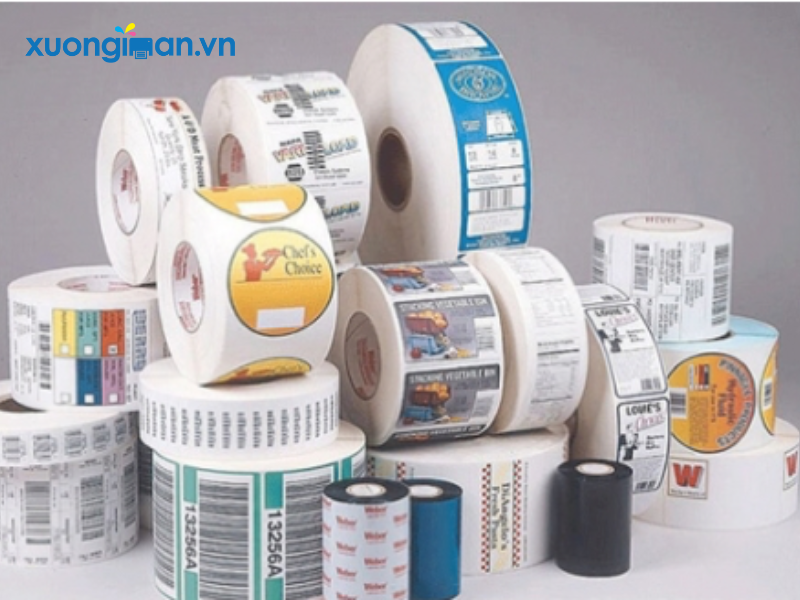 Dịch vụ in tem mác tại Thái Bình theo yêu cầu chuyên nghiệp